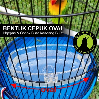 CEPUK OVAL SEMPATI WADAH BAK KERAMBA MINI TEMPAT MANDI 