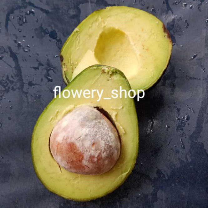 

alpukat mentega paket 5kg