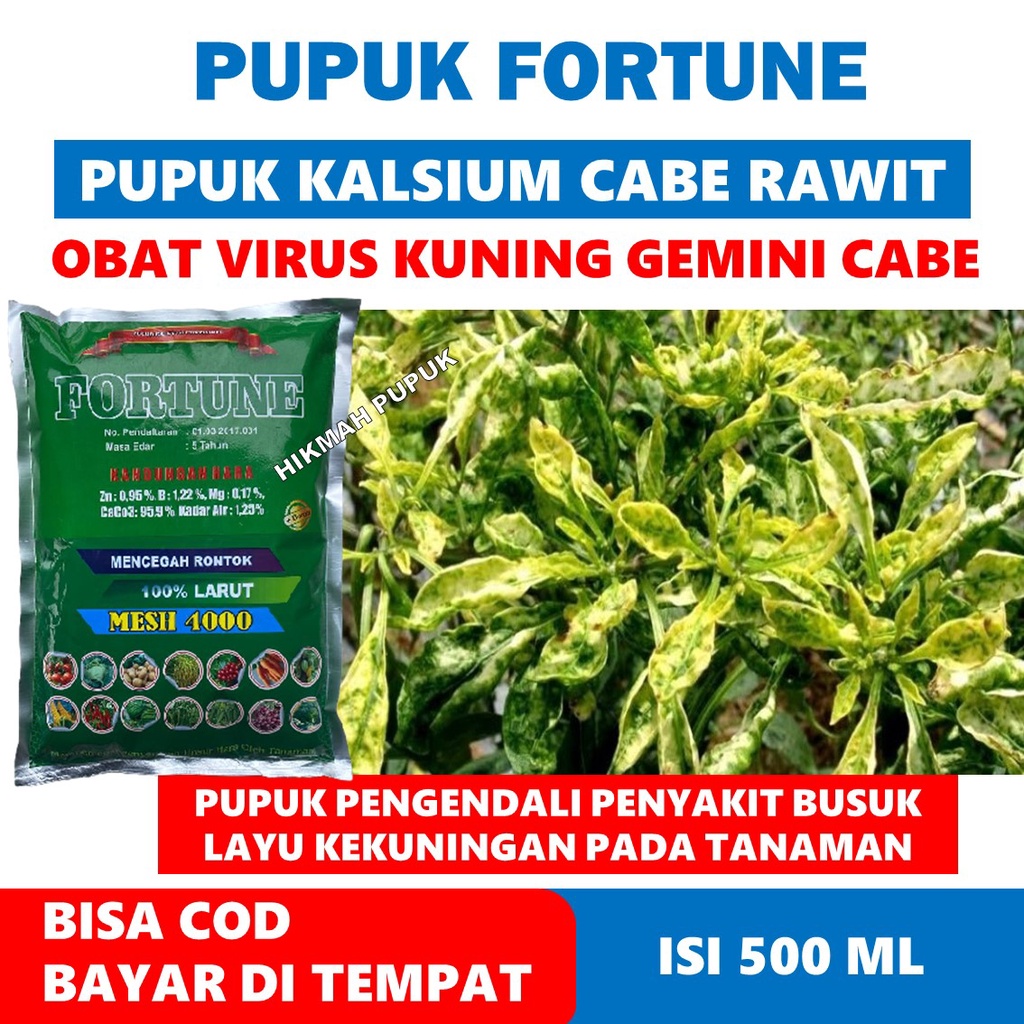 (LANGSUNG KIRIM) FORTUNE isi 1 Kg FUNGISIDA HAMA VIRUS KUNING/GEMINI CABAI, Cabe Rawit, Pupuk Organi