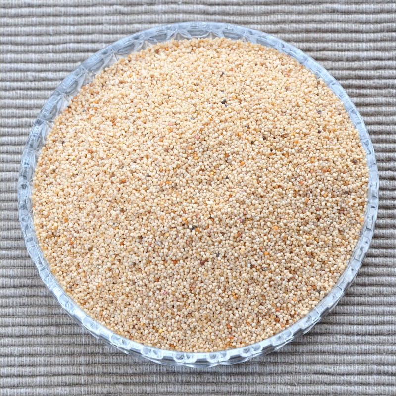 

100 gram Biji Kaskas