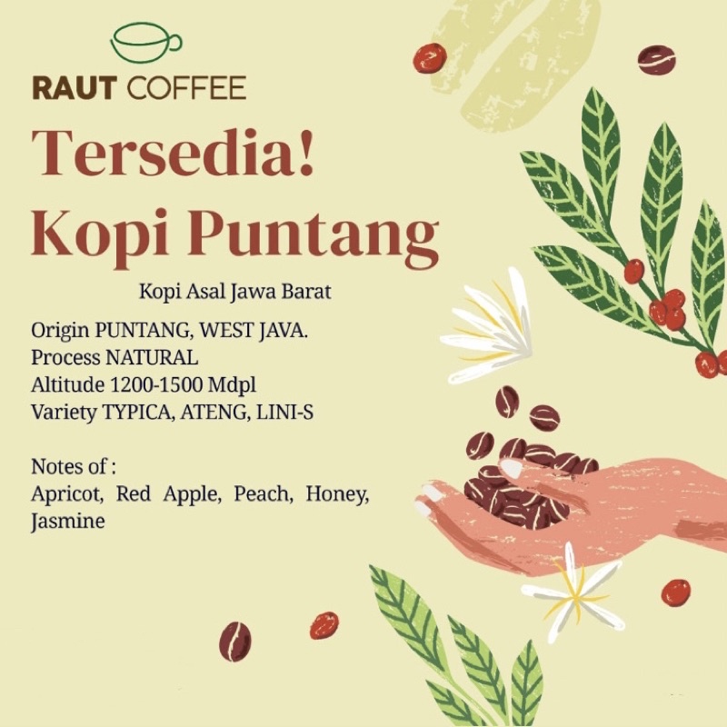 

Kopi Arabika Puntang Natural - Single Origin - Filter Coffee 200 gram