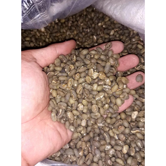 

Green bean ARABICA PEABERRY GAYO (LANANG)semi wash 500 gr(biji mentah)