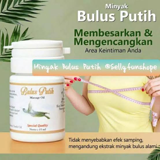 BIO HERBAL MINYAK BULUS PUTIH ORIGINAL MASSAGE OIL PEMBESAR PAYUDARA WANITA BIOHERBAL MINYAK BULUS