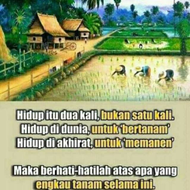 kevinfauzy
