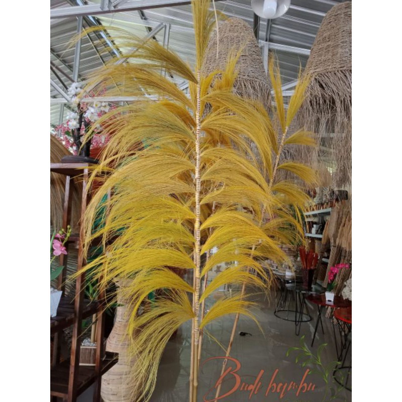 Jual Home Decor Rayung Kering Rayung Panjang Rayung Kuning Rayung Rustic Dekorasi Murah