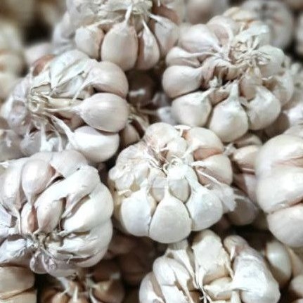 

Bawang putih utuh