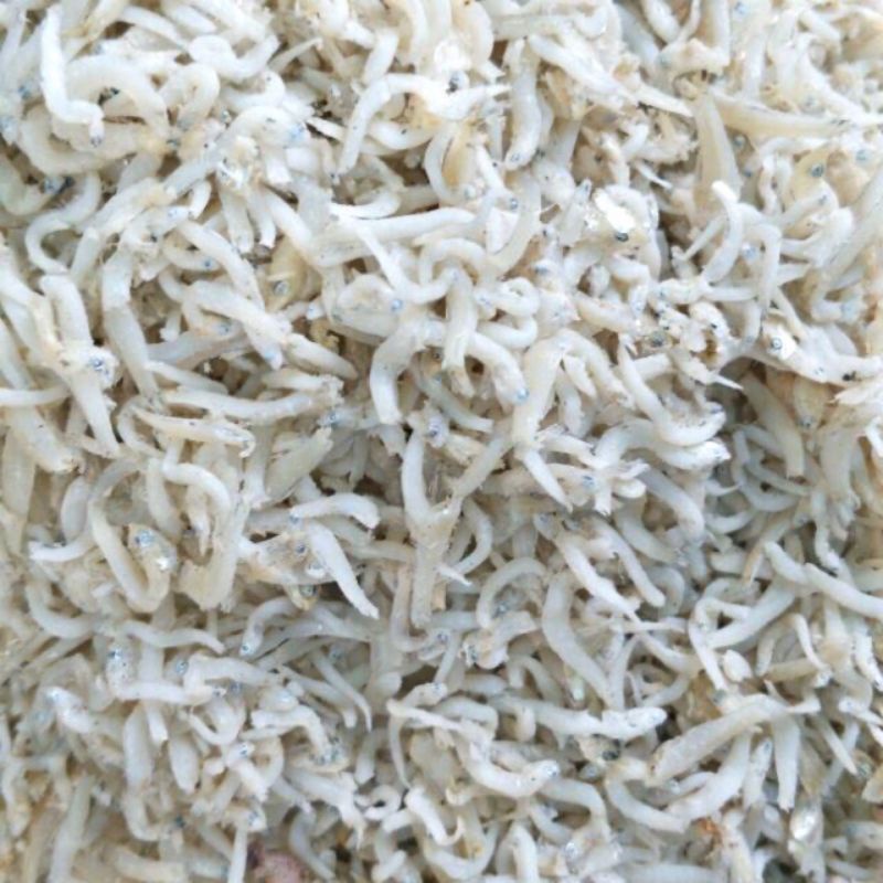 

Teri medan /teri nasi/ 100gr dijual di warunk juni