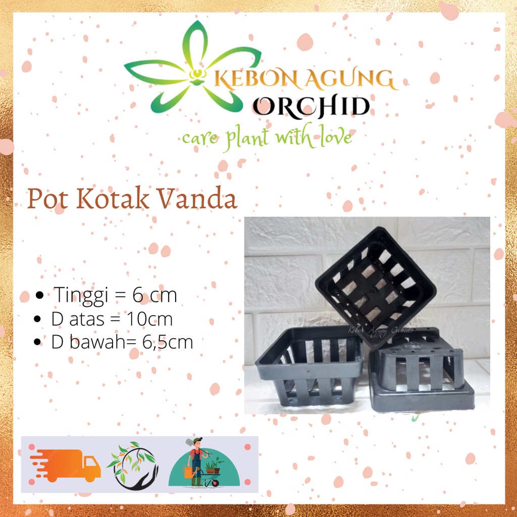 pot anggrek vanda kotak