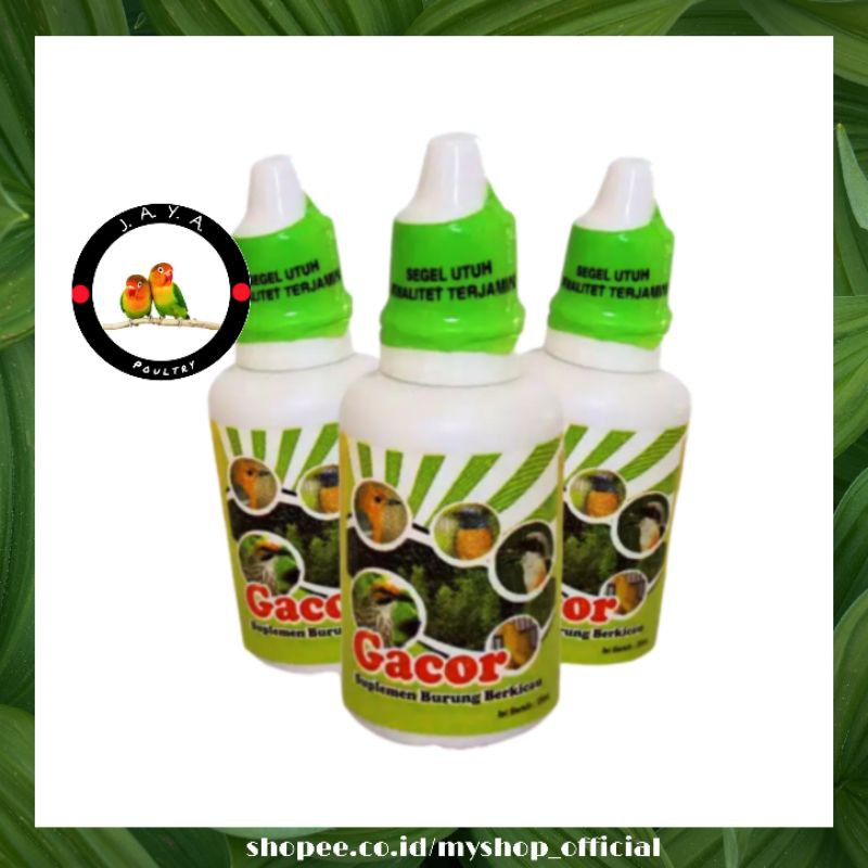 GACOR BESAR DR.EDHI VITAMIN BURUNG MENINGKATKAN KUALITAS KICAU POTENSI MENTAL GACOR STAMINA