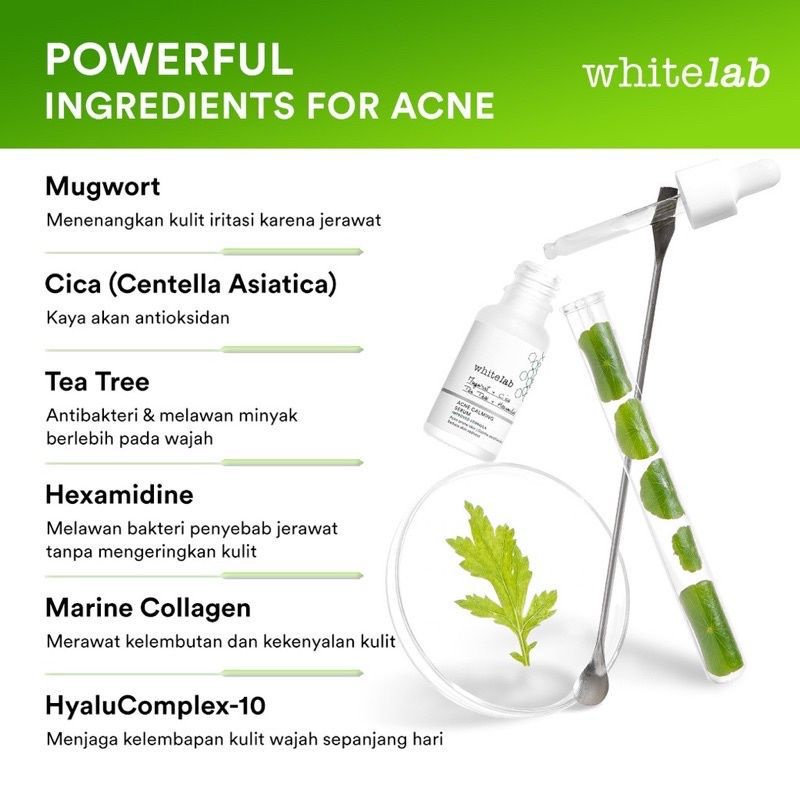 WHITELAB ACNE CALMING SERUM New Formula Original