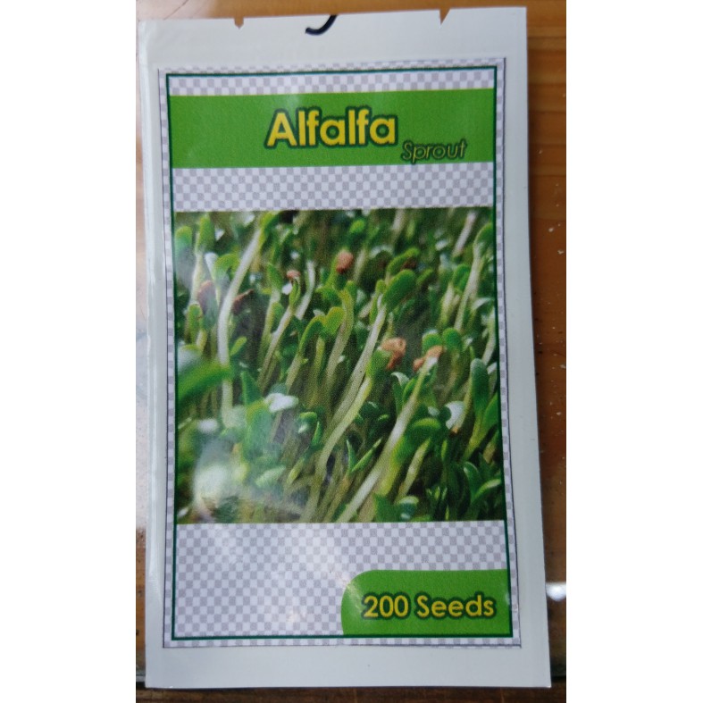 benih / bibit microgreen alfalfa sprout 200biji