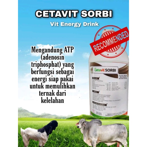 Cetavit Sorbi 100ml -Multivitamin extra curcuma-penambah energi