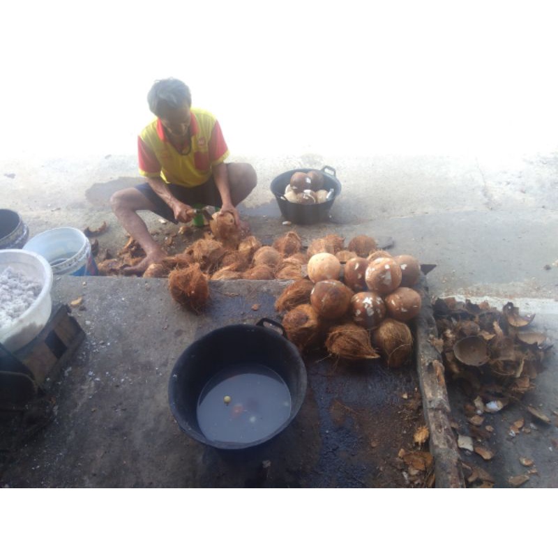 

kelapa parut putih Palembang