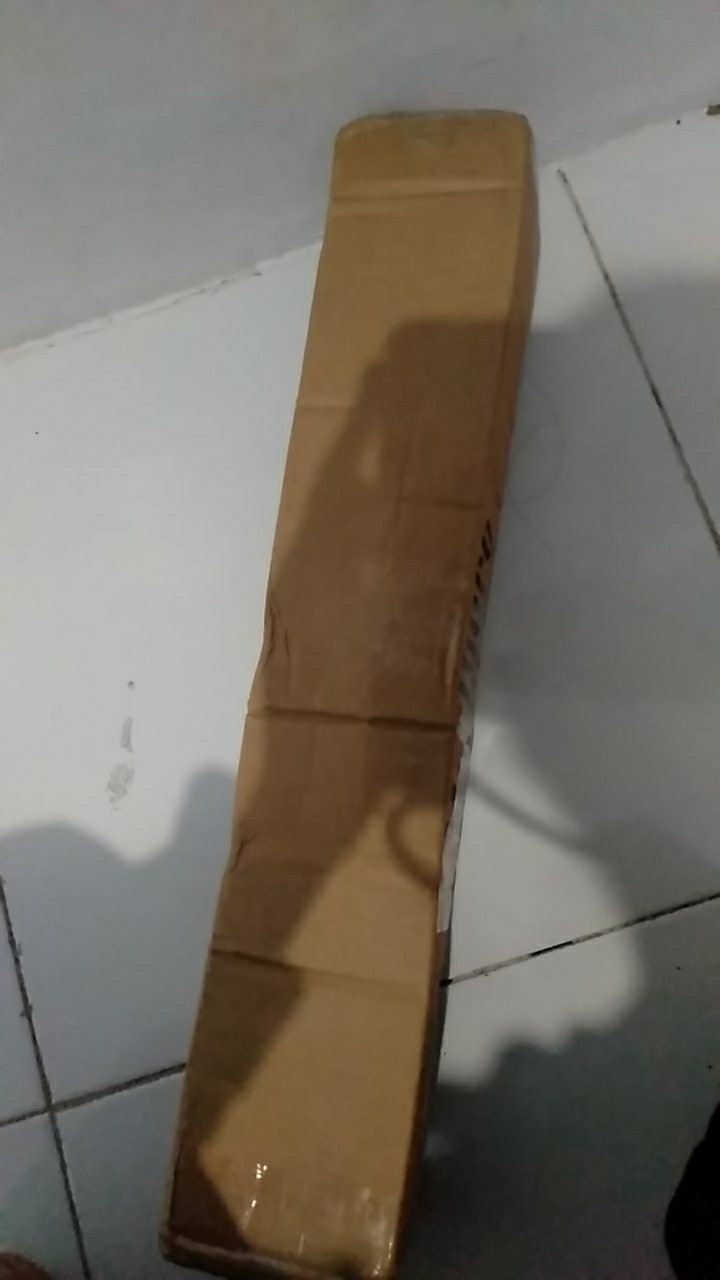 Tanaman Hias Bunga Krisan Pot Isi 5, 1 Warna