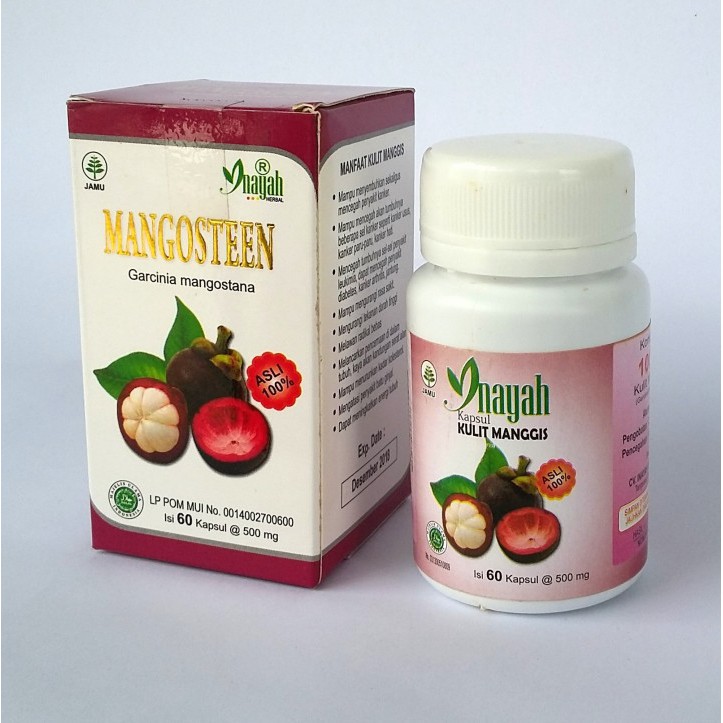 

[COD] Kapsul Mangosteen Garcinia Mangostana Inayah - Herbal Kulit Manggis - 60 Kapsul - ORIGINAL 100