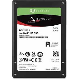 SSD IRONWOLF NAS 480GB ZA480NM10001