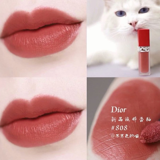 dior 808 caress