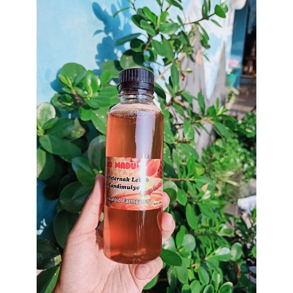 

Madu Murni Nektar Bunga Rambutan (250ml)