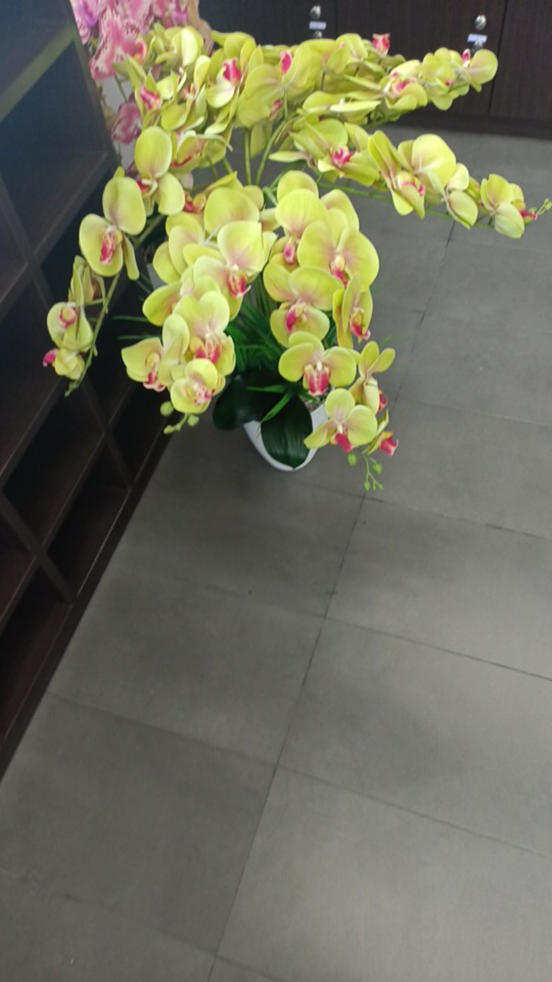 Daun Pvc Atau Rumput Pvc Artificial