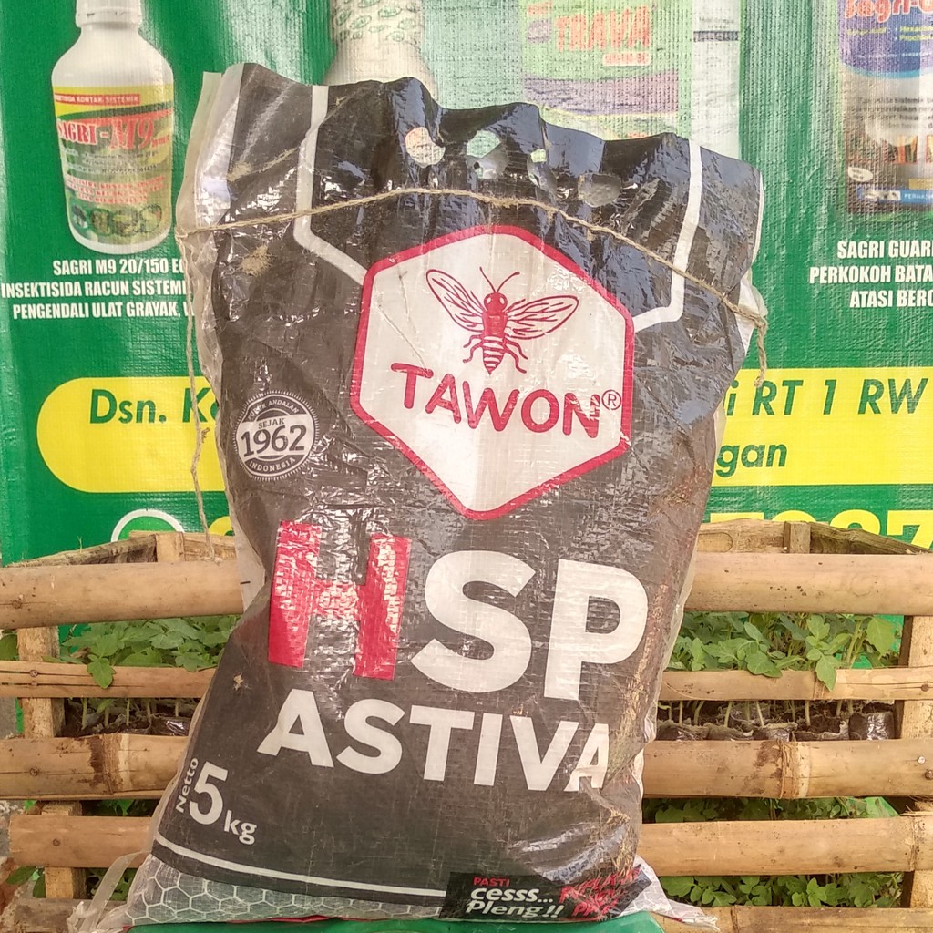HSP ASTIVA repacking 1kg