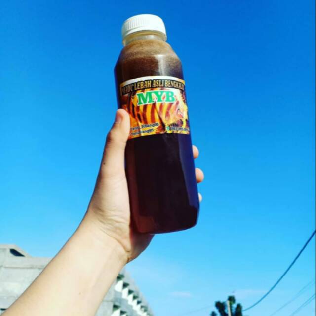 

Madu Hutan Asli Bengkalis