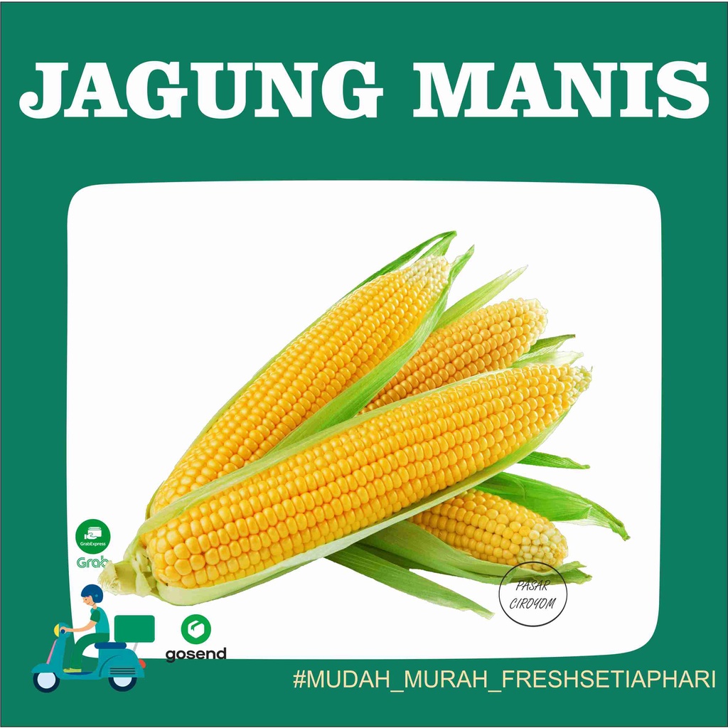 

JAGUNG MANIS / JAGUNG BAKAR FRESH MURAH BANDUNG 1kg