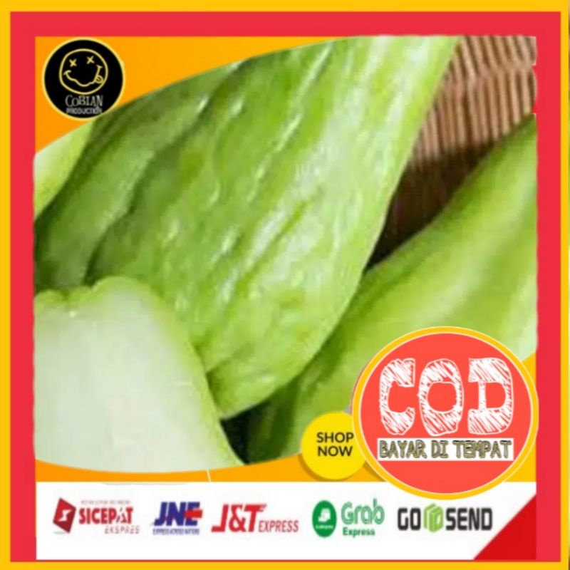 

Labu Siam Jumbo Waluh Sayuran Segar Sayuran Fresh Sayuran Organik Sayuran Online Sayuran Terlaris