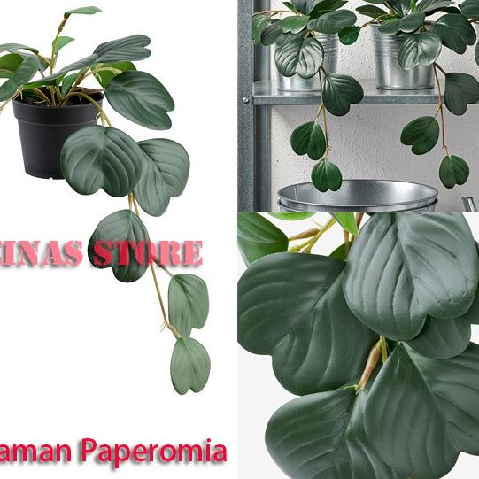 Model Baru Tanaman Artificial Hias Gantung Paperomia / Tanaman Love Artificial Paperomia