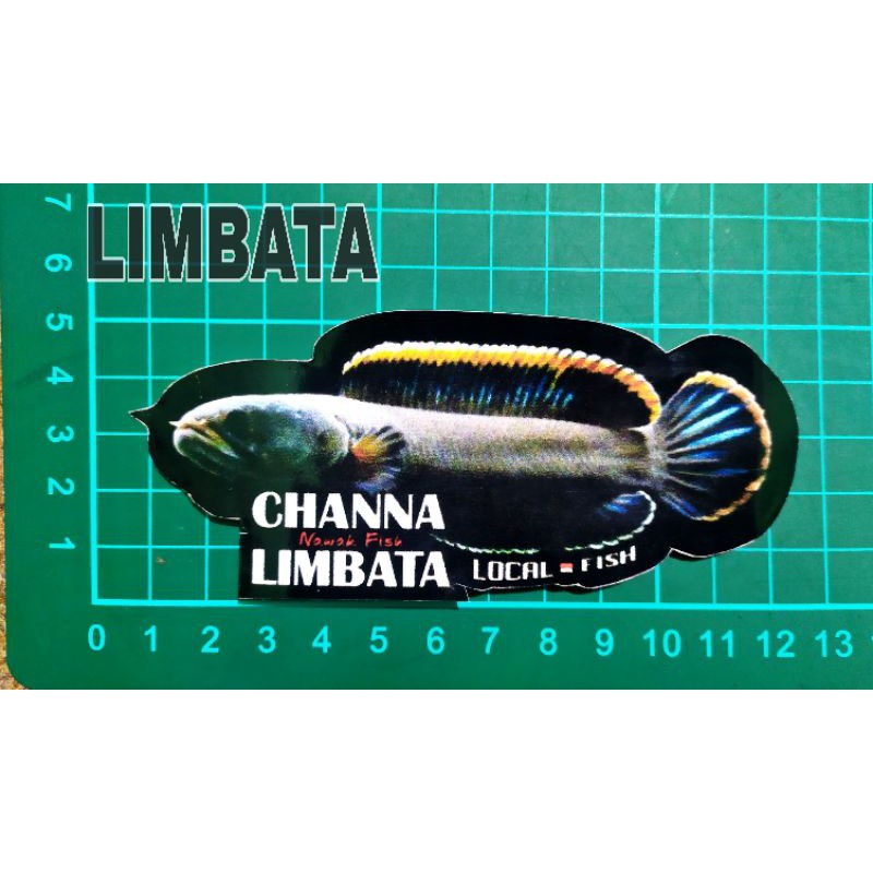 STIKER AQUARIUM UKURAN KECIL IKAN PREDATOR ANTI AIR 10-12cm