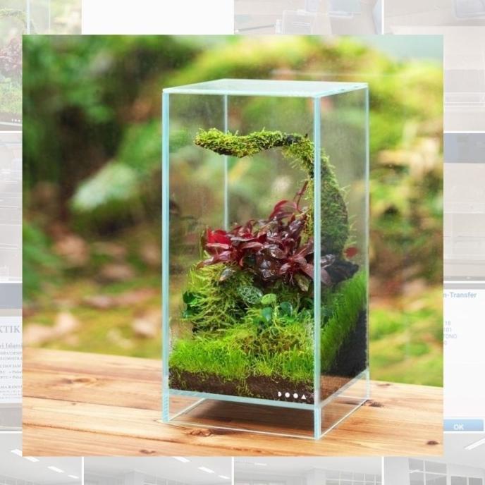 

AKSESORIS PERNIKAHAN AKRILIK TERARIUM UKURAN 12X12X20CM PERLENGKAPAN PESTA CRAFT
