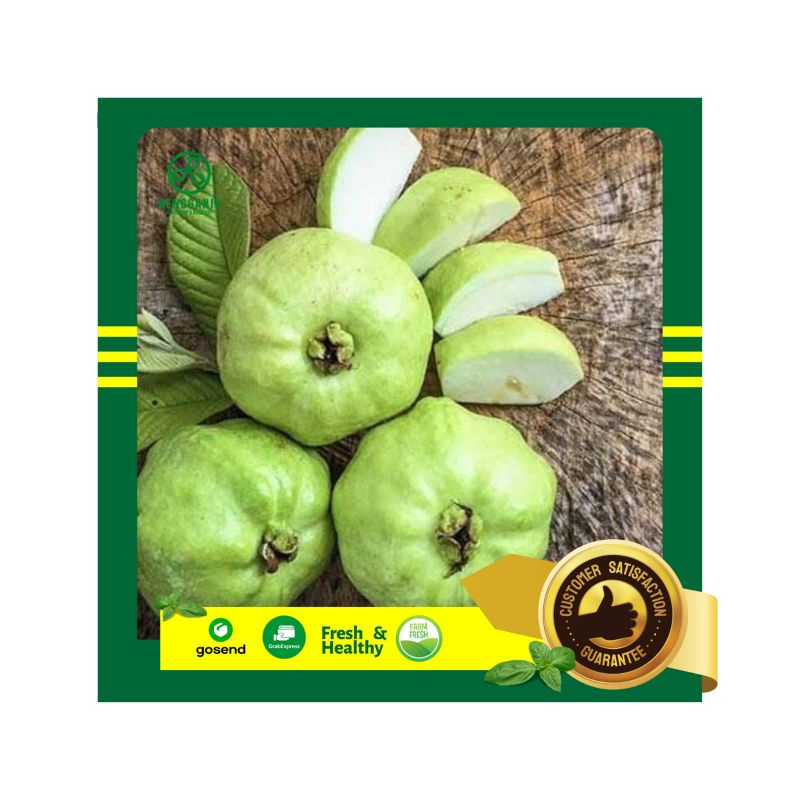 

Jambu Kristal Madu