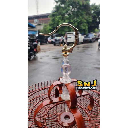 Pion Bening BNR Murai Batu, Pion Sangkar , Pion Kandang, Termurah