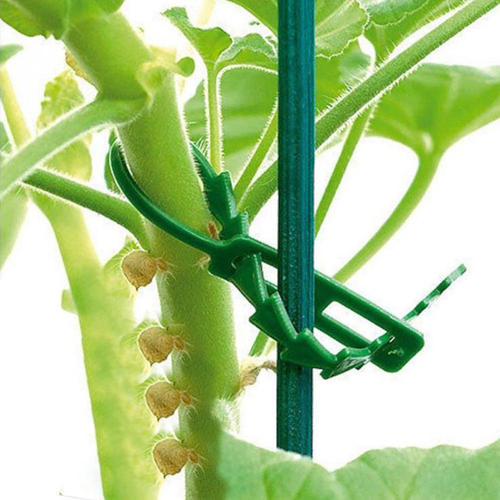 [Elegan] Klip Penyangga Tanaman Plastik Tahan Lama Panjat Pohon Greenhouse Tomat Vine Clamp