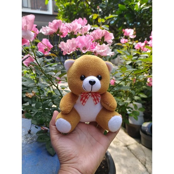 BONEKA BERUANG VELBOA KOMBINASI15cm/BONEKA BUKET/BONEKA WISUDA/HAMPERS