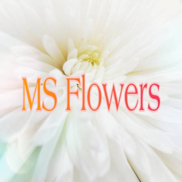 ms_flowers