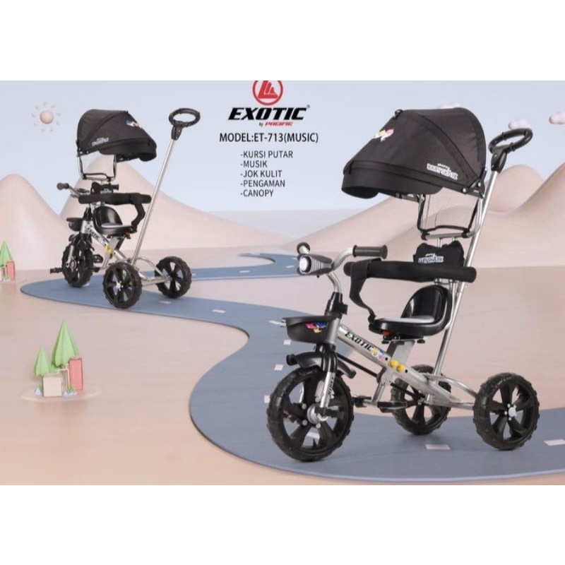 SEPEDA ANAK RODA 3 EXOTIC TRICYCLE ET-713