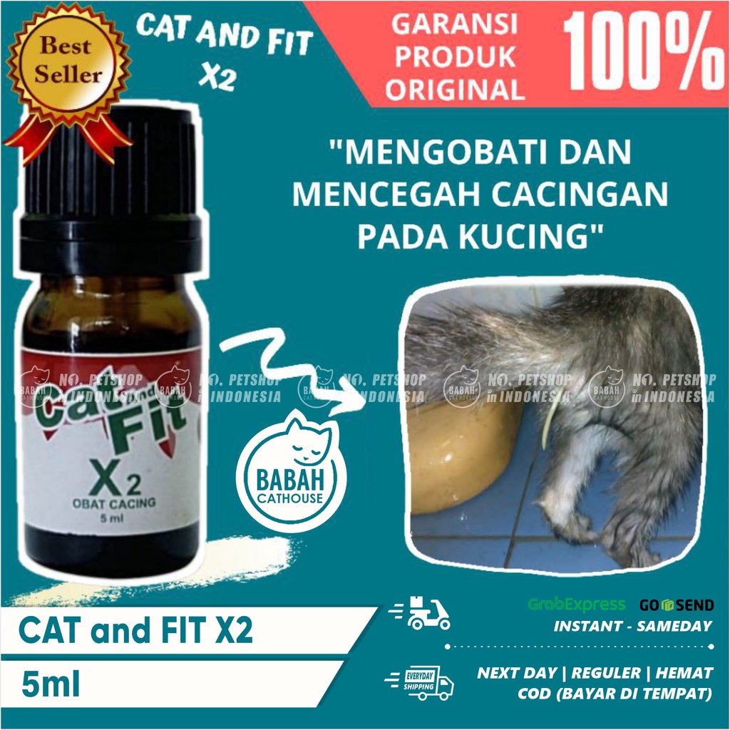 CAT AND FIT X2 OBAT CACING KUCING Cacingan Dewasa Anak Adult Kitten Paling Ampuh Manjur Catandfit Ca