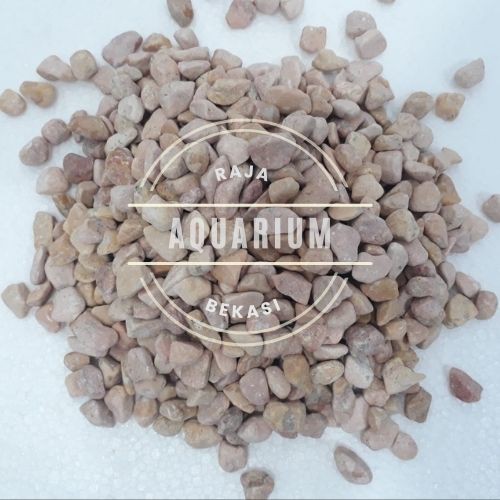 Batu Koral Orange /coral orange Untuk Taman Terrarium &amp; aqurium  , Aquascape 1Kg