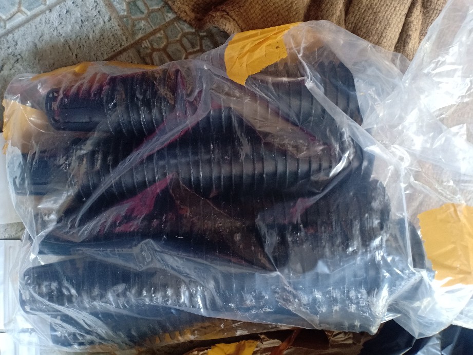 Benih / Biji / Bibit Rijk Zwann Rz - Selada Concorde 100 Butir