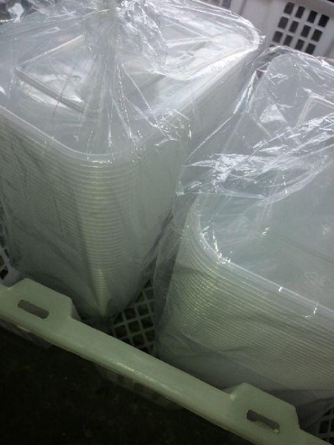 Thinwall / Plastik Food Container 750 Ml Isi 25 Pcs