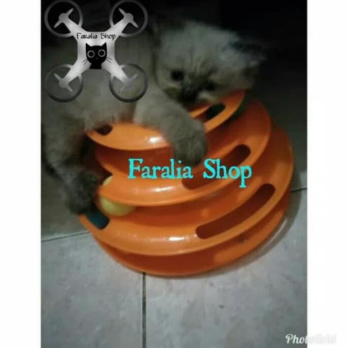 

14.84Ftgrdujh- Crazy Ball Mainan Menara Bola Kucing Cat Kitten Pyramid 3 Tingkat -Toko-Boneka.