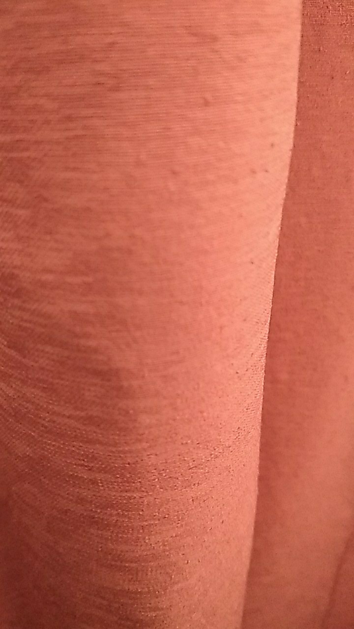 Benih Bayam Merah - Bibit Bayam Merah - Benih Bayam Merah Zayoseed