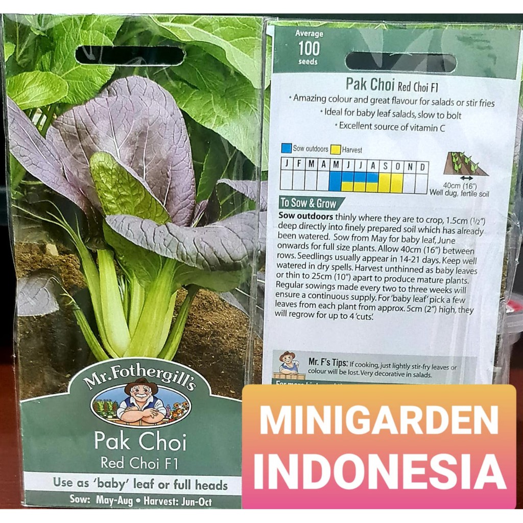 benih pakchoy RED CHOI PACK 100 BIJI bibit sayur sawi pak choi merah import f1 Mr. Fothergills hidroponik