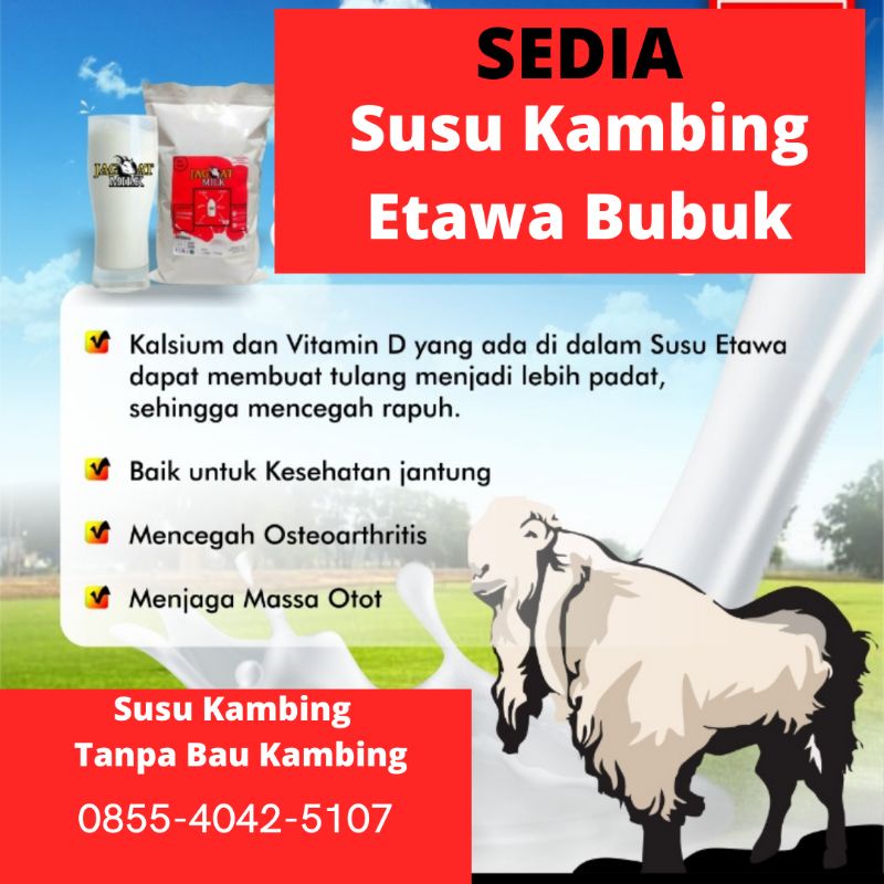 

SUSU KAMBING ETAWA BUBUK