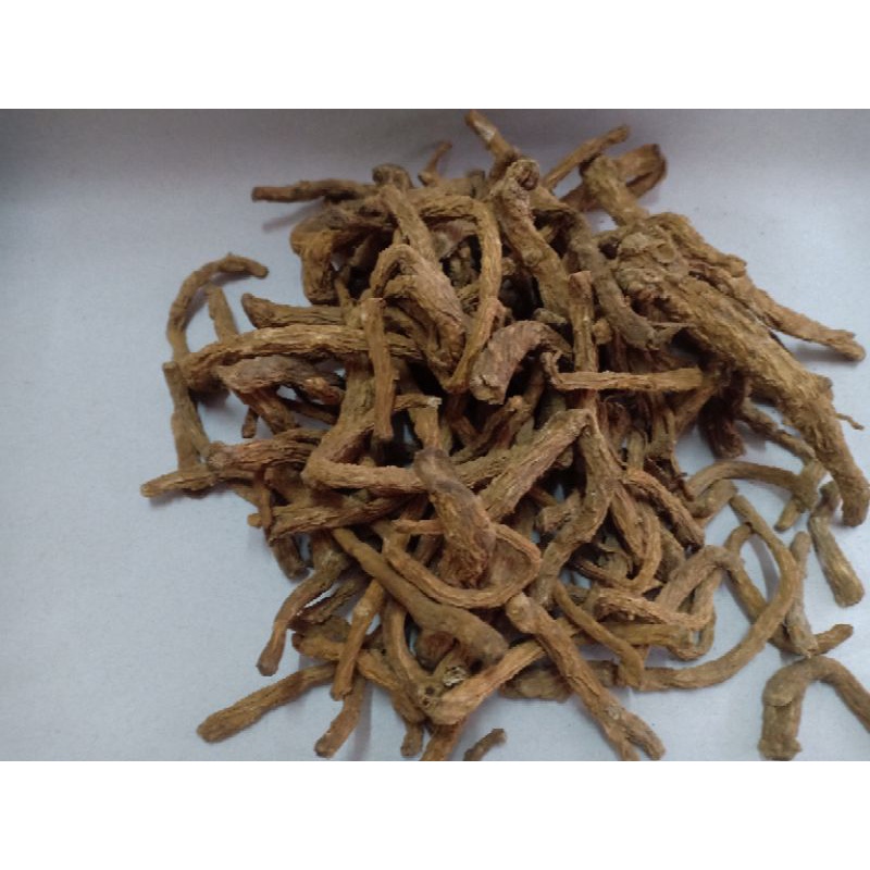dang gui wei angelica sinensis 100 gram