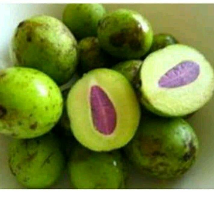 MLQ BUAH GANDARIA 1 KG Petik pohon✣ (#Sale)Laris ➡