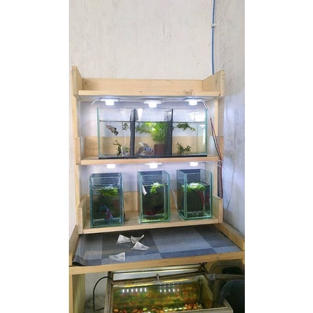 rak aquarium / rak ikan cupang / rak serbaguna