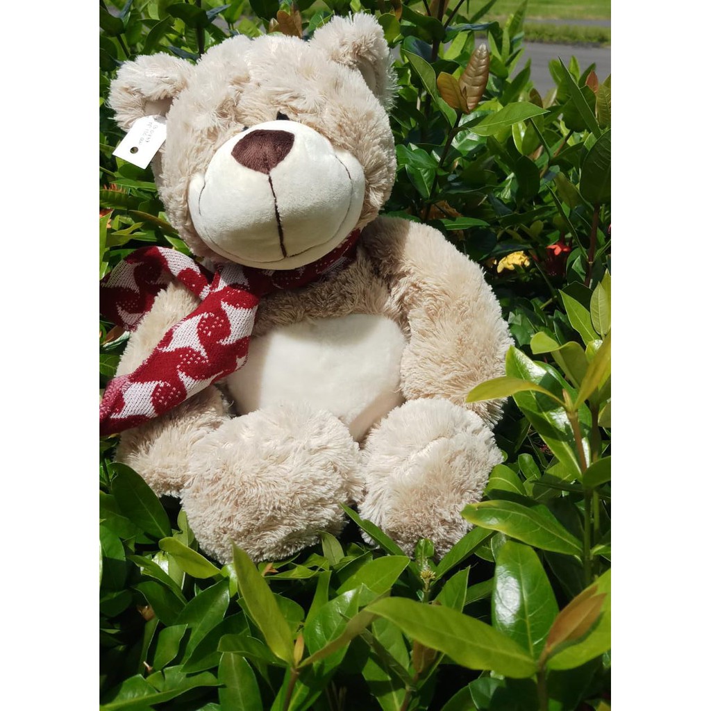 BONEKA BEAR SYAL 13 INCH