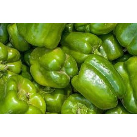 

Paprika hijau 1/2kg (500g)