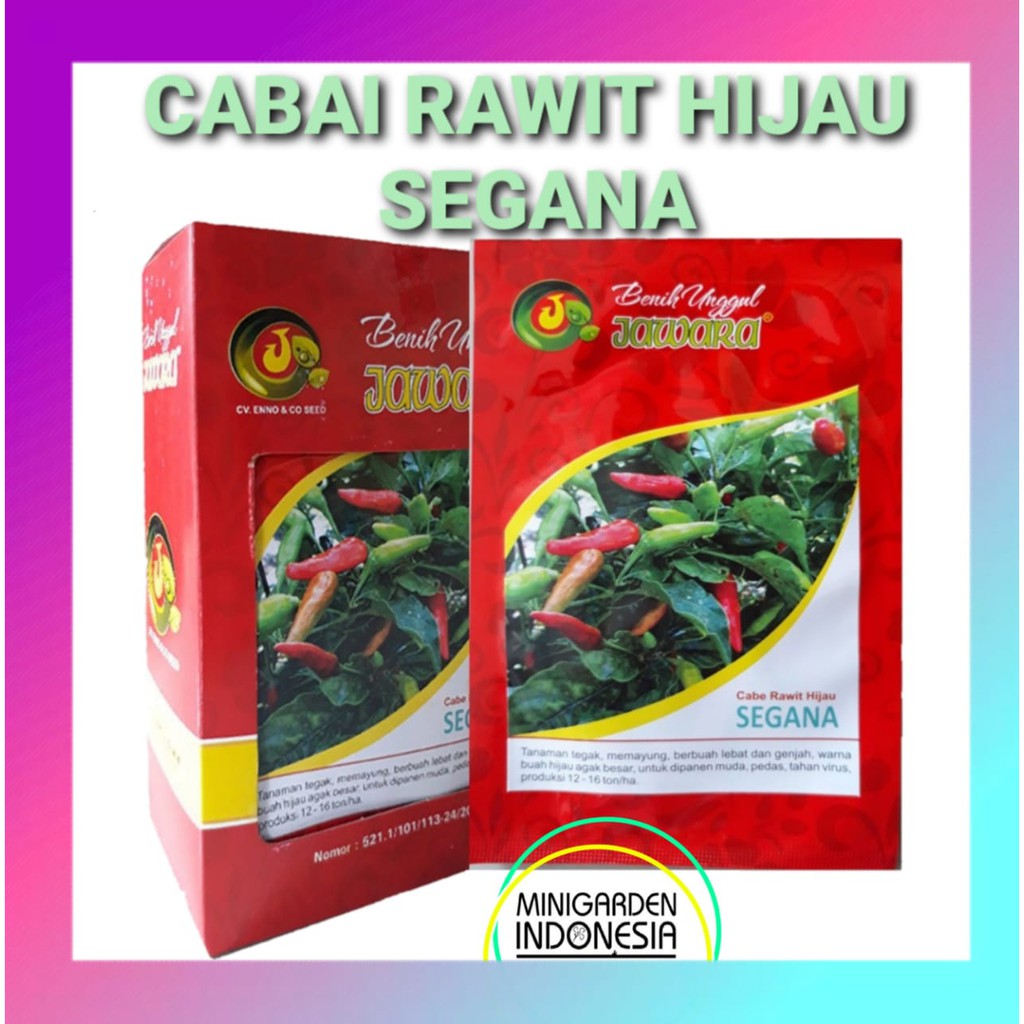 cabe rawit hijau SEGANA PACK 10 GRAM benih bibit cabai jawara tanaman sayur sayuran unggul 2800 biji